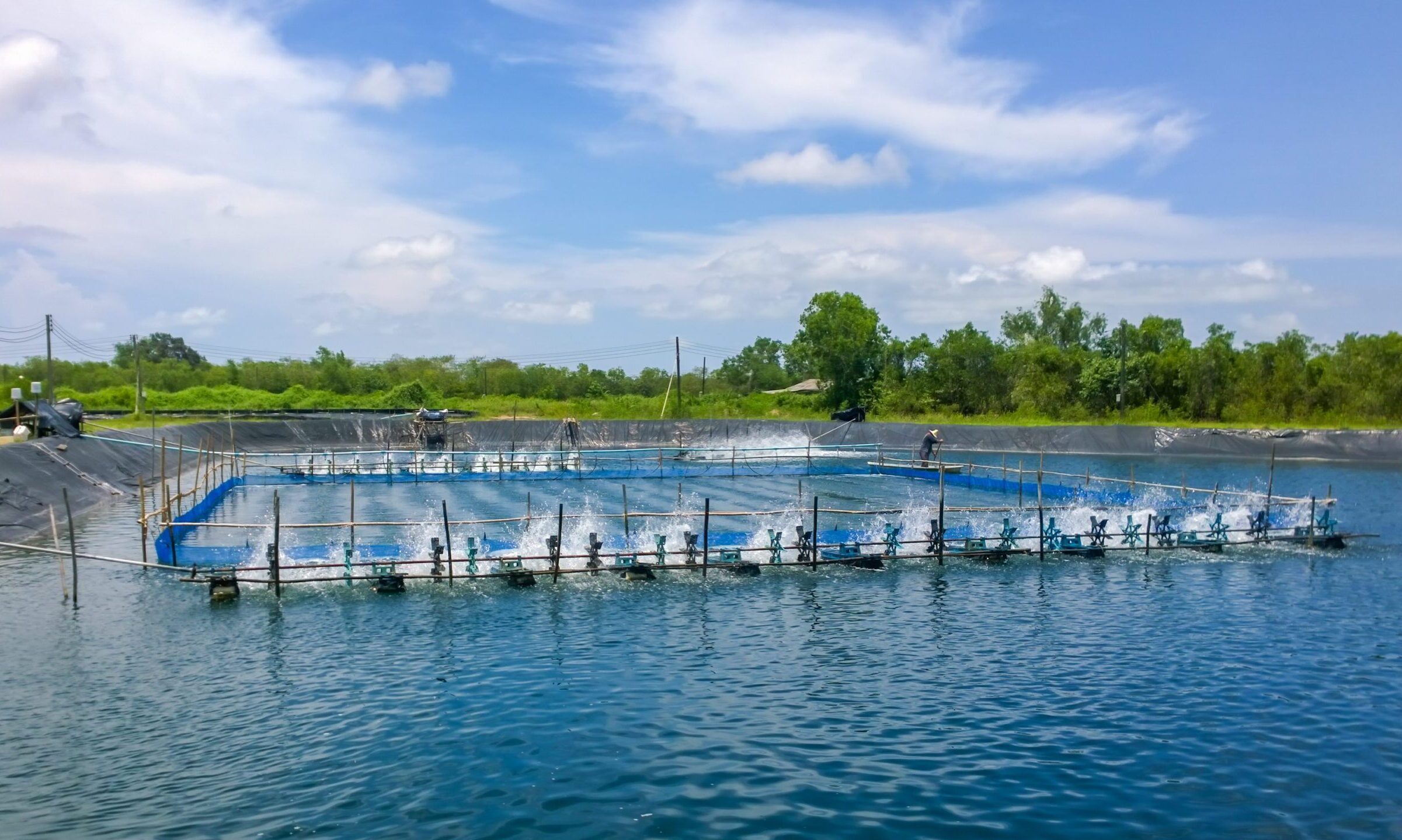 Aquaculture – WorldSolutions Ergofito for Aquaculture - WorldSolutions