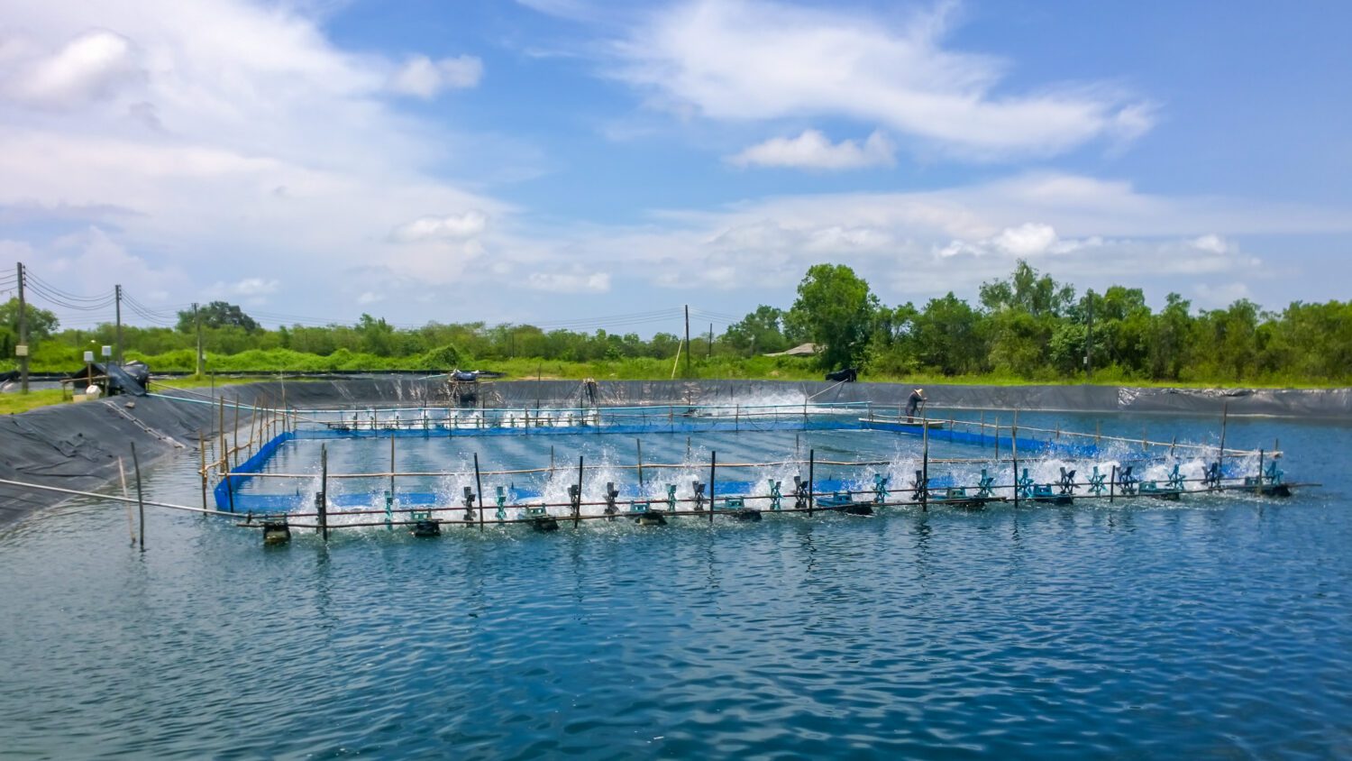 Aquaculture – WorldSolutions Ergofito for Aquaculture - WorldSolutions