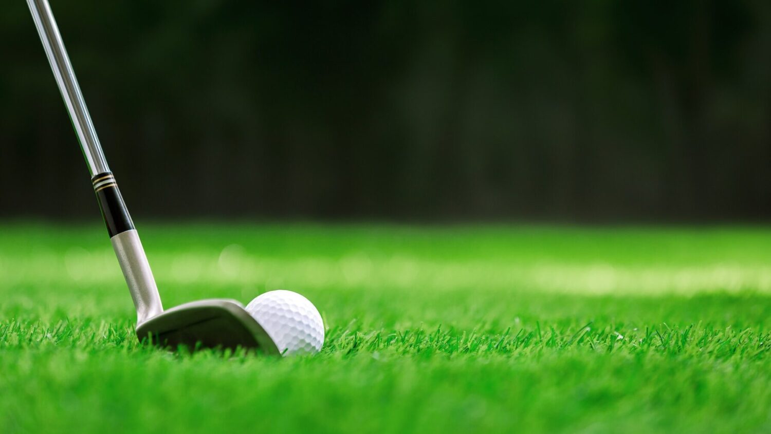 WorldSolutions for Golf Turf