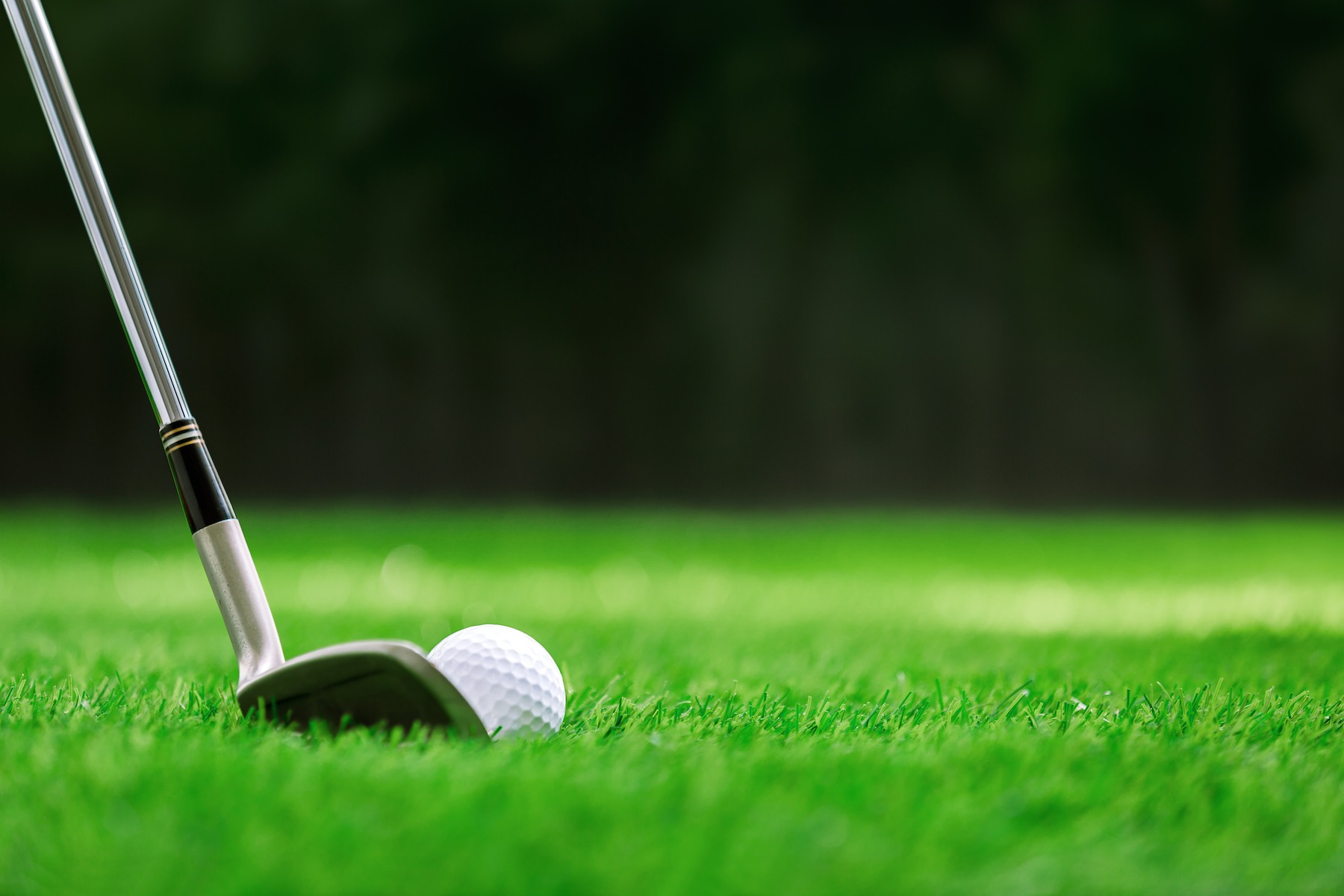 WorldSolutions for Golf Turf