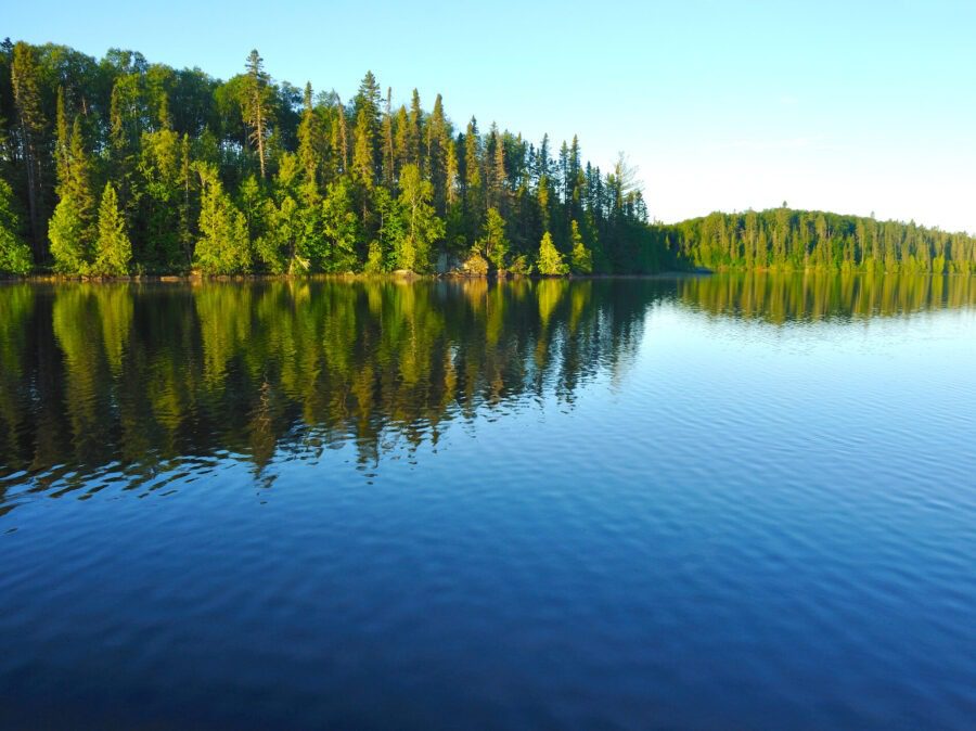 WorldSolutions - Dedication to sustainable environmental solutions